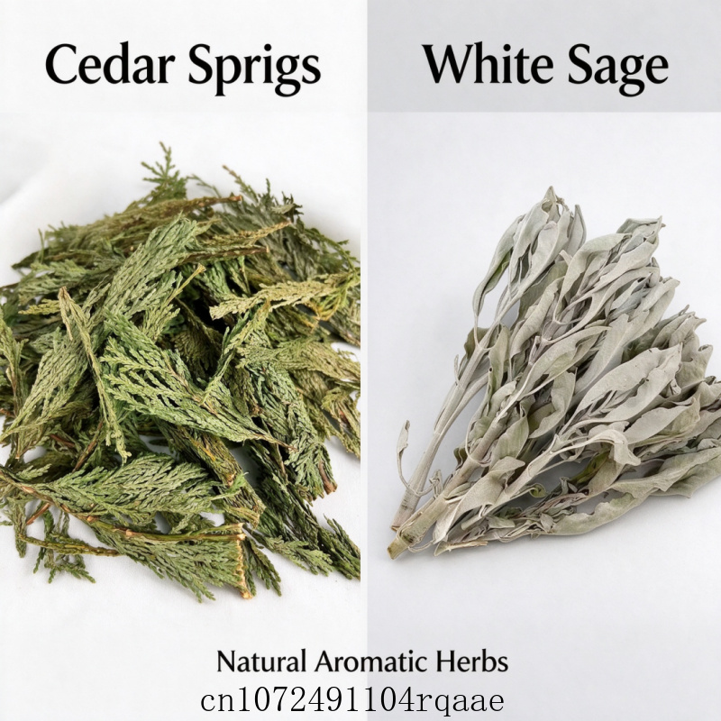 Dried Herbs - Ramas de Salvia Blanca Seca y