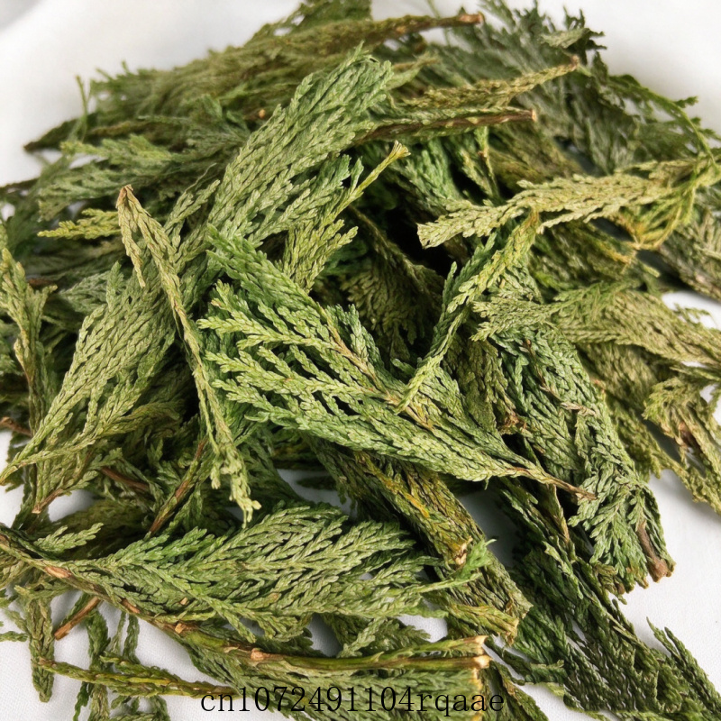 Ramas de Salvia Blanca Seca y  - Dried Herbs reseña y precio