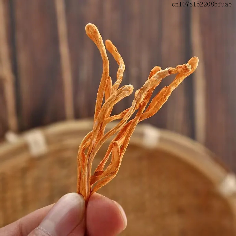 Flores de Cordyceps Secas de 2 - Chamomile Tea reseña y precio