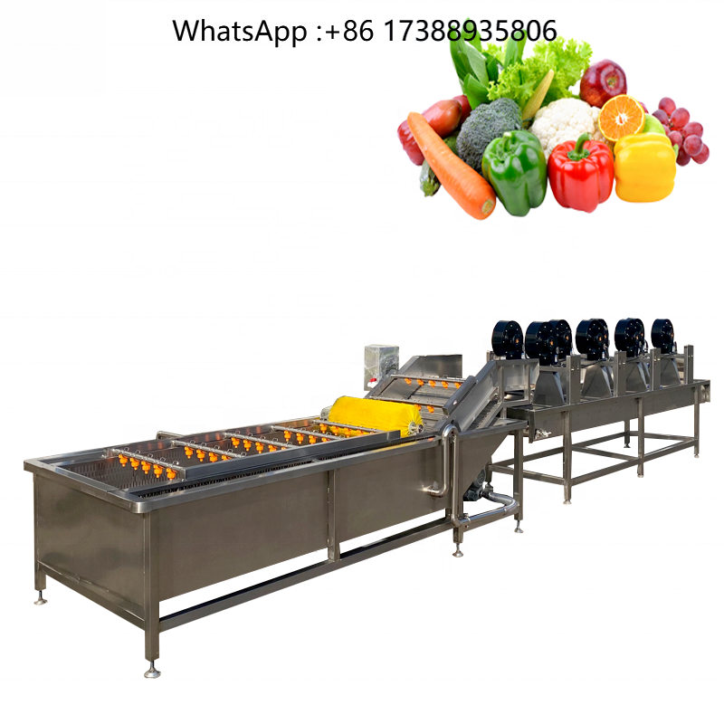 Máquina de Limpieza Automática - Turmeric reseña y precio